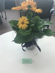 Flowers in a vase on a table.